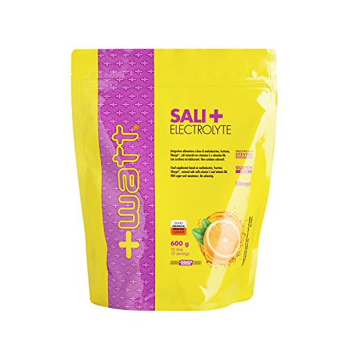 Sali+ Electrolyte - Per Disporre Di Energie Durante L'Attività Fisica - Formato: Doypack 600 G - Gusto Arancia, Polvere