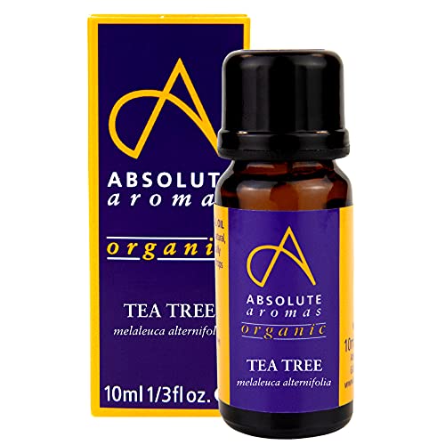 Absolute Aromas Olio Essenziale Di Tea Tree Bio 10 Ml - Puro, Naturale, Non Diluito, Cruelty Free E Vegan - Per Aromaterapia, Diffusori, Capelli E Cur