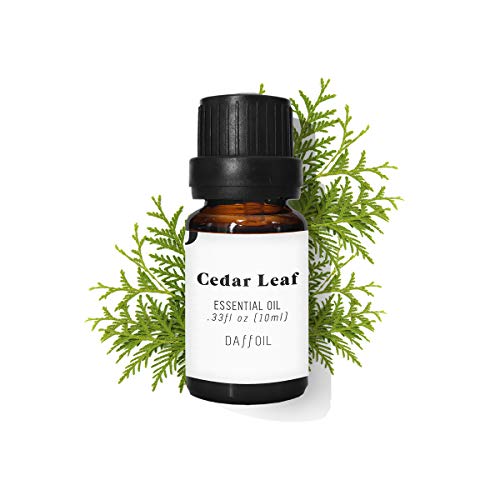 Cedar Leaf Essential Oil 10 Ml