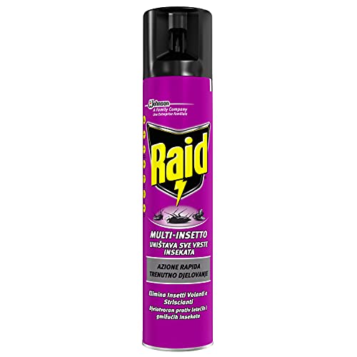Raid Spray Multinsetto, Insetticida Spray, 1 Confezione Da 300 Ml