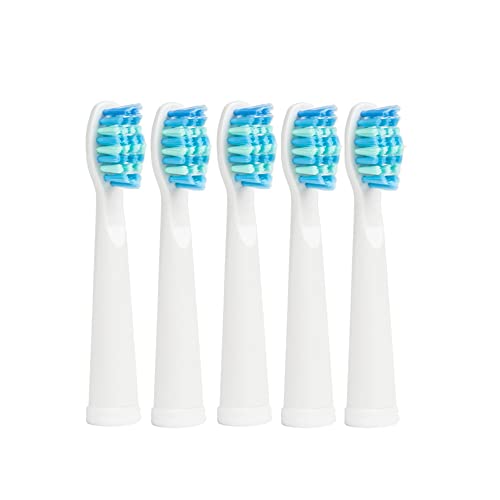 Testine Spazzolino Per Fairywill D1/D3/D7/D8/Fw-507/Fw-508/Fw551/Fw515/2011/917/959,Testine Spazzolino Elettrico Per Fairywill/Seago