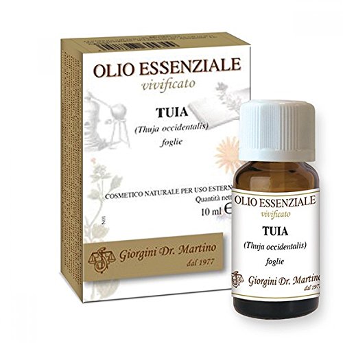 Tuia Olio Essenziale Naturale - 10 Ml