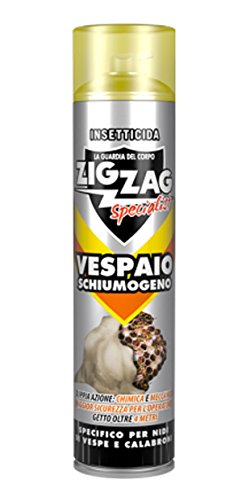 Insetticida Ad Alta Efficacia Zigzag Vespaio Schiumogeno Specialist 600 Ml
