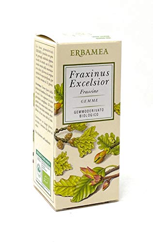 Fraxinus Excelsior - Frassino 50 Ml Biologico
