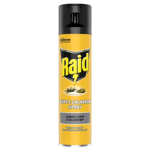 Raid Insetticida Spray Elimina Vespe E Calabroni, Per Uso Interno, Azione Rapida Per Spruzzo Diretto, 1 Confezione Da 400Ml