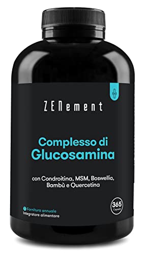 Glucosamina Con Condroitina, Msm, Boswellia, Bambù E Quercetina, 365 Capsule (Fornitura Per 1 Anno) | Alto Dosaggio | Glucosamina Complex Senza Glutin