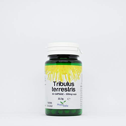 Tribulus Terrestris