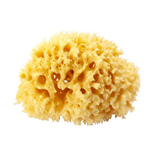 Okbaby Arcipelago - Spugna Naturale Dal Mar Mediterraneo Per Il Bagnetto Del Neonato, Ultra Soffice E Morbida, Ideale Per La Pelle Delicata - Misura 1
