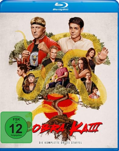 Cobra Kai - Staffel 3