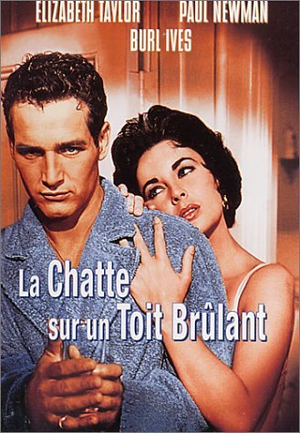 La Chatte Sur Un Toit Brûlant
