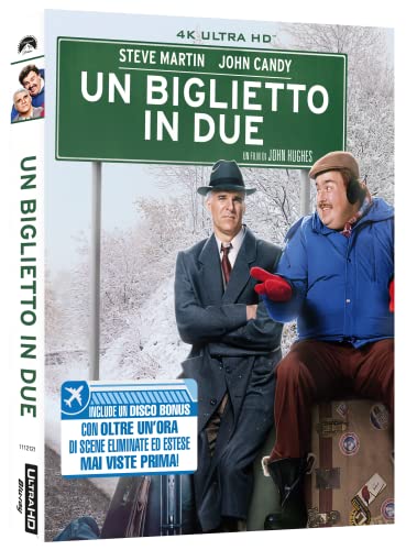 Un Biglietto In Due (4K Uhd)