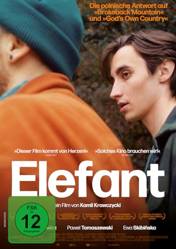 Elefant (Omu)