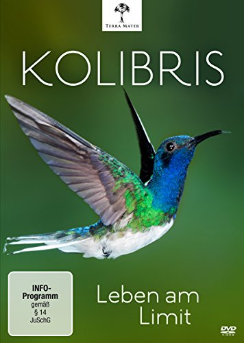 Kolibris - Leben Am Limit