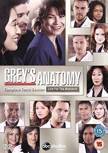 Grey'S Anatomy - Complete 10Th Season (6 Dvd) [Edizione: Paesi Bassi] [Edizione: Regno Unito]