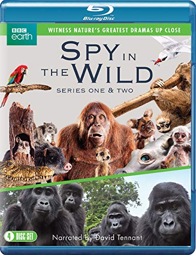 Spy In The Wild Series 1 To 2 [Edizione: Regno Unito]