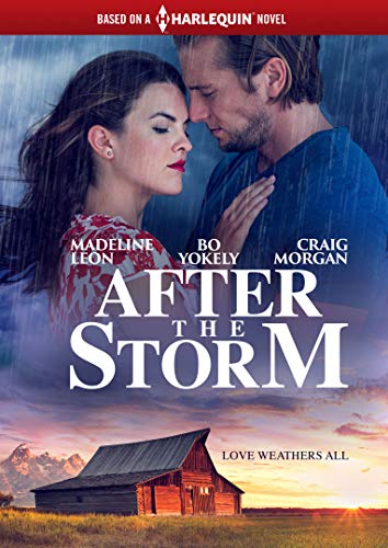 After The Storm (Harlequin)