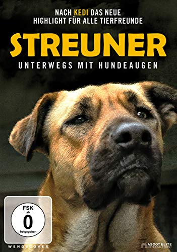 Streuner - Unterwegs Mit Hundeaugen