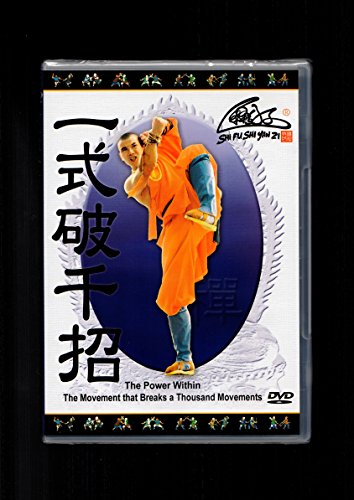 The Power Within - The Movement That Breaks A Thousand Movements [Edizione: Regno Unito]
