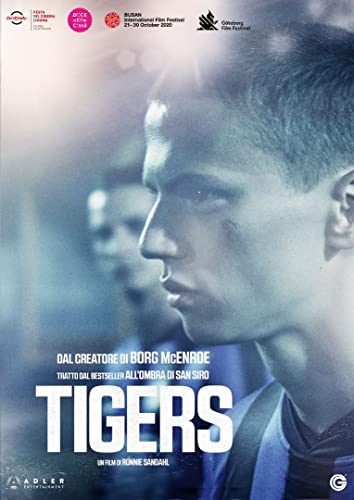 Tigers ( Dvd)
