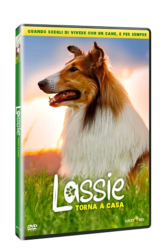 Lassie Torna A Casa (Dvd) ( Dvd)