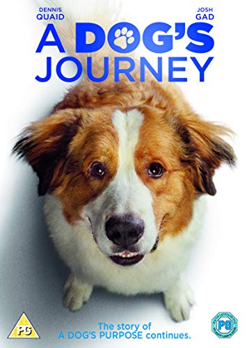 A Dogs Journey [Edizione: Regno Unito]