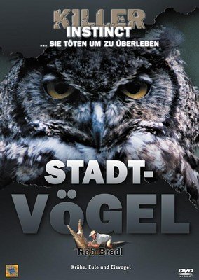 Killer Instinct - Stadtvögel
