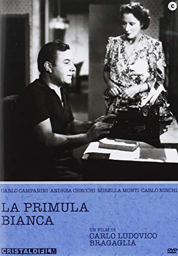 La Primula Bianca