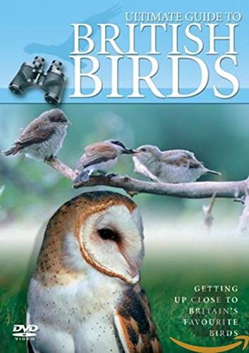 Ultimate Guide To British Birds [Edizione: Regno Unito] [Edizione: Regno Unito]