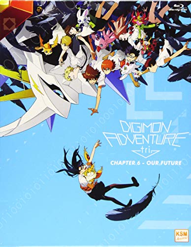 Digimon Adventure Tri. Chapter 6 - Our Future