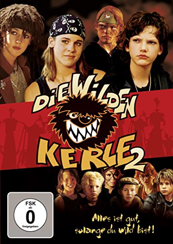 Die Wilden Kerle 2
