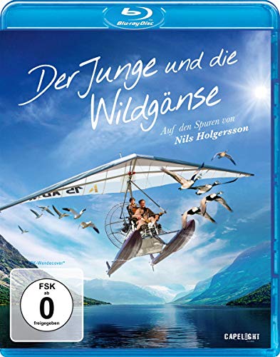 Der Junge Und Die Wildgänse