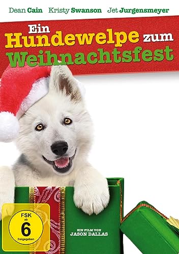 Ein Hundewelpe Zum Weihnachtsfest
