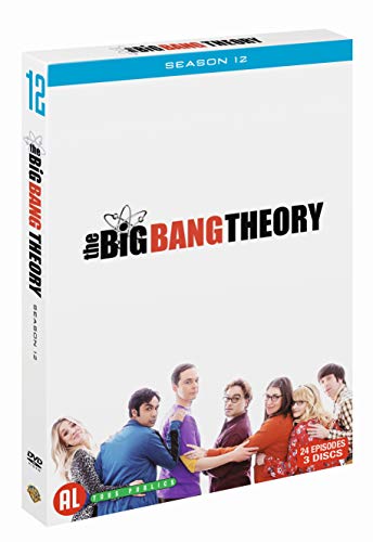 Big Bang Theory, The - S12 (Sdvd)