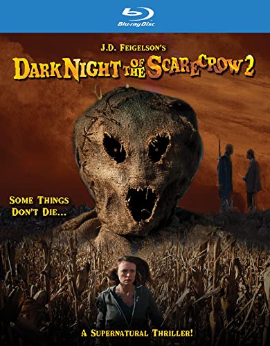 Dark Night Of The Scarecrow 2
