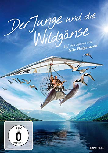 Der Junge Und Die Wildgänse