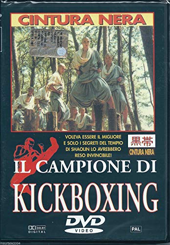 Il Campione Di Kickboxing