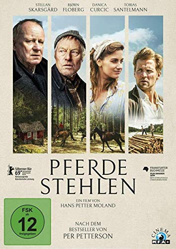 Pferde Stehlen