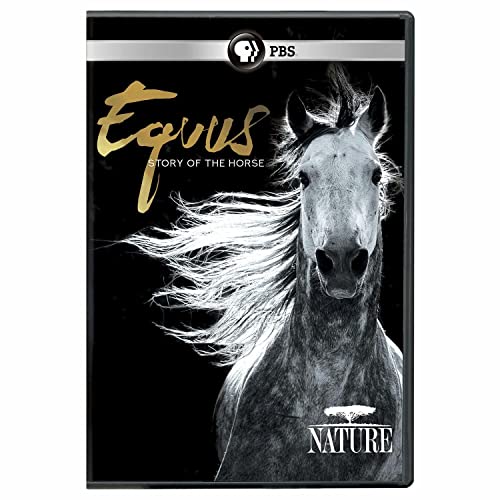 Nature: Equus - Story Of The Horse