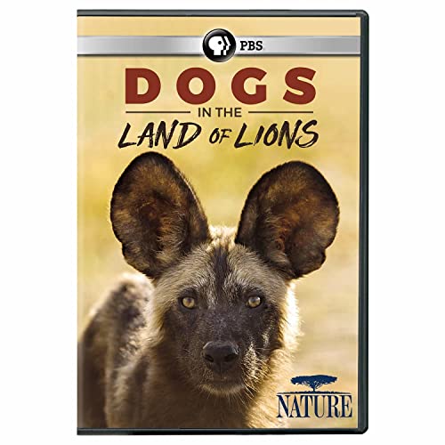 Nature: Dogs In The Land Of Lions