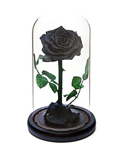 Rosa Eterna Per Sempre | Regalo Di Rose Fresche | Conservate Per 5 Anni | Realizzate A Mano | Regali Per Donne Compleanno Unico Insolito | Festa Della