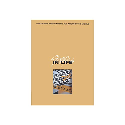 Jyp Ent Stray Kids In Life Standard Ver. (B Type) Repackage Album Cd+Photobook+2 Photocards+Postcard+(Extra 4 Photocards+1 Double-Sided Photocard+Pock