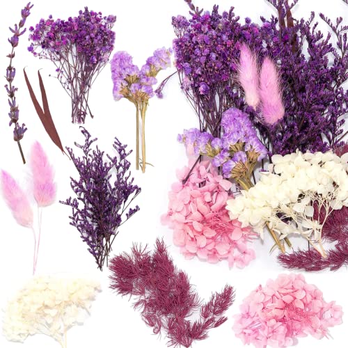 Fiori Secchi Naturali Fiori Asciutti Colorati Fiori Selvatici Secchi Naturali Fiori Secchi Impostati Per Fiori Secchi Per Armeggiare Per Armeggiare Pe