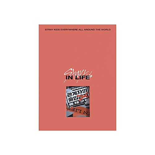Jyp Ent Stray Kids In Life Standard Ver. (A Type) Repackage Album Cd+Photobook+2 Photocards+Postcard+(Extra 4 Photocards+1 Double-Sided Photocard+Pock
