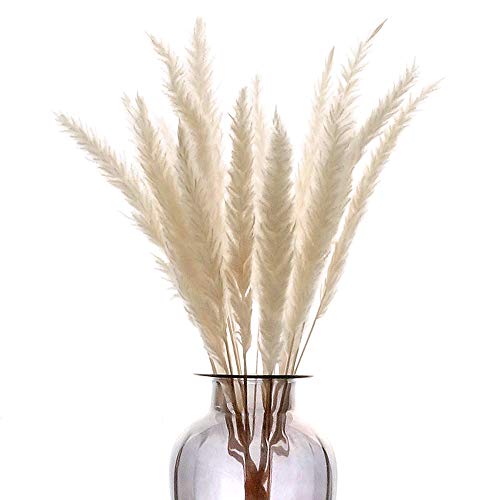 Huaesin 30Pcs Erba Pampas Secca, Pampas Artificiale Fiori Artificiali Essiccati Fiori Finti Pampa Erba Naturale Fiori Secchi Per Decorazioni Natale Ma