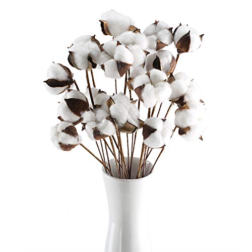 Huaesin 20Pz Fiori Artificiali Da Enterno Fiori Secchi Cotone Fiori Finti Interno Esterno Fiori Autunnali Rami Essiccati Per Decorazioni Casa Ufficio