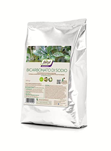 Copyr | Fortyl Bicarbonato Di Sodio 500 Gr