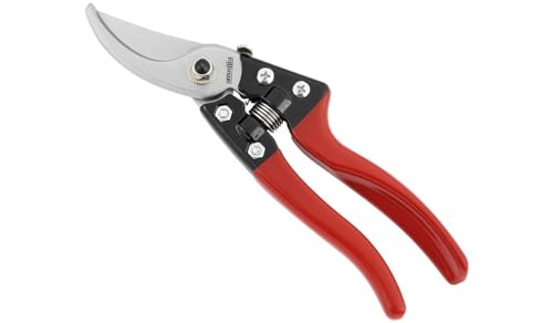 Ausonia - 31077 Forbice Da Vigna Potatura Professionale Cm 20 Universale