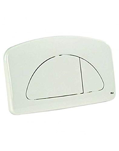 Acquastilla 116484 Placca Di Comando Dual Oliver 627001, Multicolore