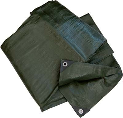 Telone Occhiellato Pe Pesante Verde Hand Gr/Mq 180 Mt 8X10 Hand