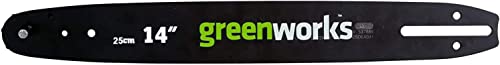 Greenworks,Barra Guida Originale Greenworks Per Motosega, Barra Di Ricambio Di 25 Cm Adatta Per Le Motoseghe Gd40Tcs Della Serie 40V Di Greenworks